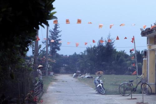 Vietnam f2 Web-03