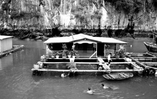 Vietnam f2 Web-28